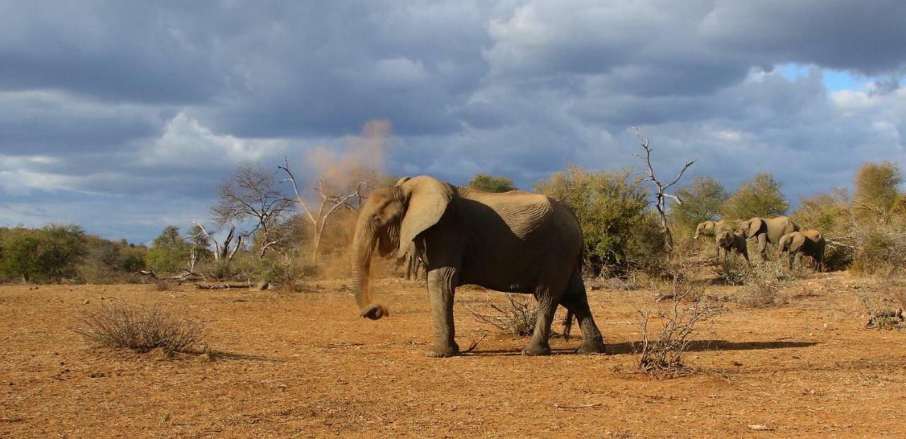 Parsons Hilltop Safari Camp Balule Game Reserve Εξωτερικό φωτογραφία
