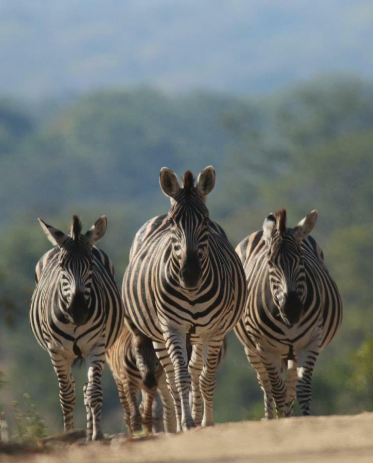 Parsons Hilltop Safari Camp Balule Game Reserve Εξωτερικό φωτογραφία