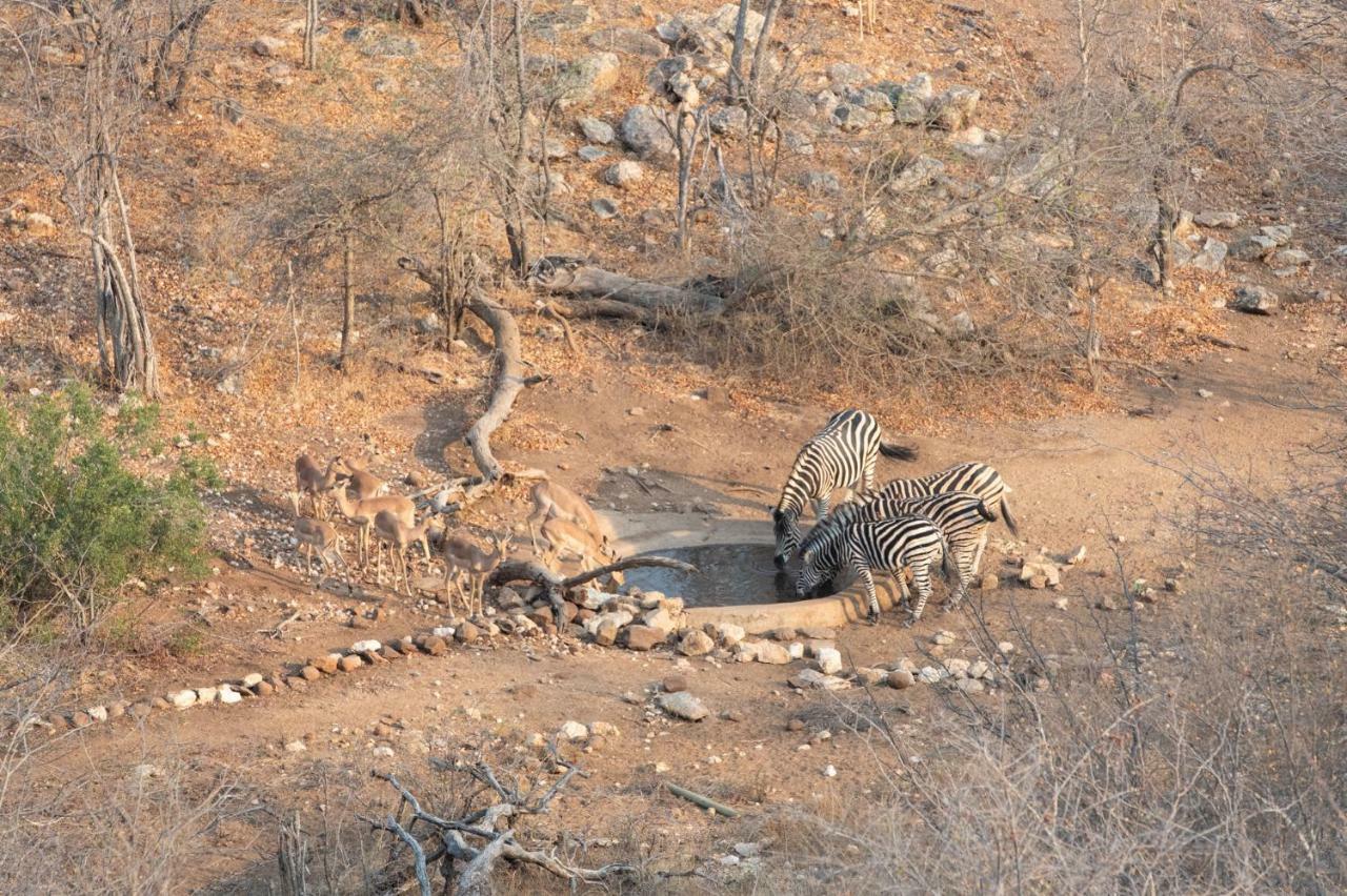 Parsons Hilltop Safari Camp Balule Game Reserve Εξωτερικό φωτογραφία